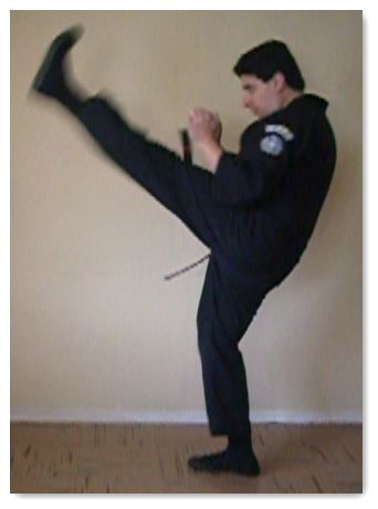 Front Thrust Kick